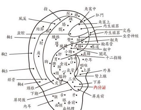 耳朵裡面長痣|耳朵痣位置：影響健康？